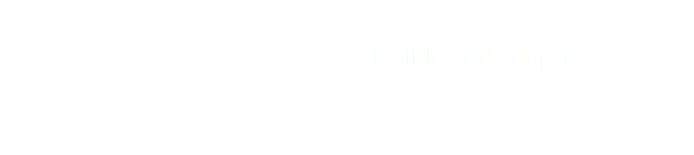  Flexible and adaptive